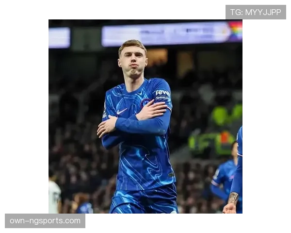 帕尔默的核心技术与稳定性能否支撑其世界级定位